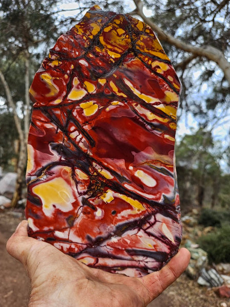 Polished  Mookaite slab MK596
