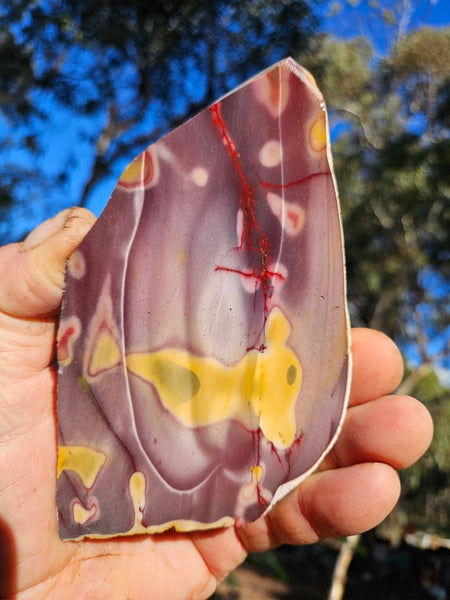 Polished  Mookaite slab MK597