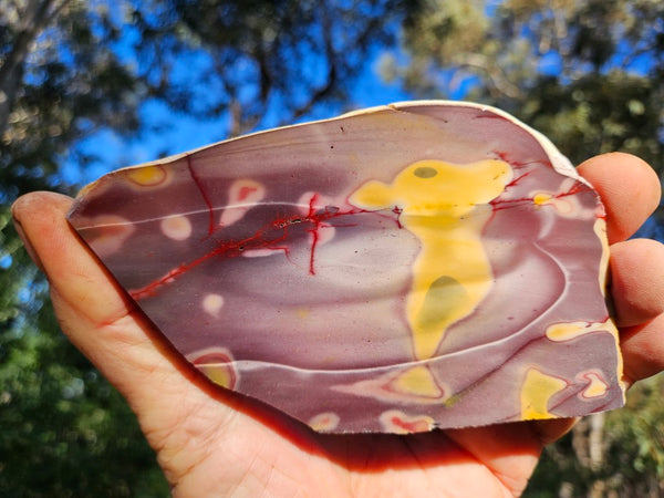 Polished  Mookaite slab MK597
