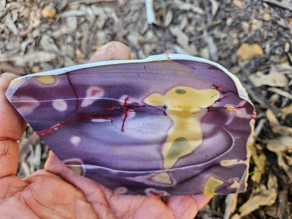 Polished  Mookaite slab MK597