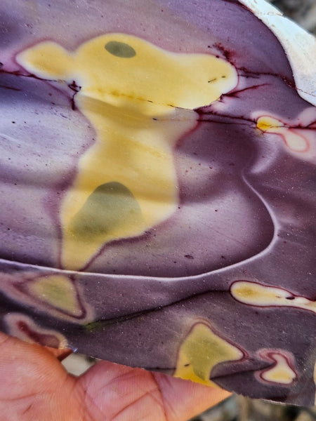 Polished  Mookaite slab MK597