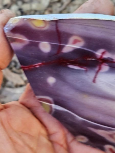 Polished  Mookaite slab MK597
