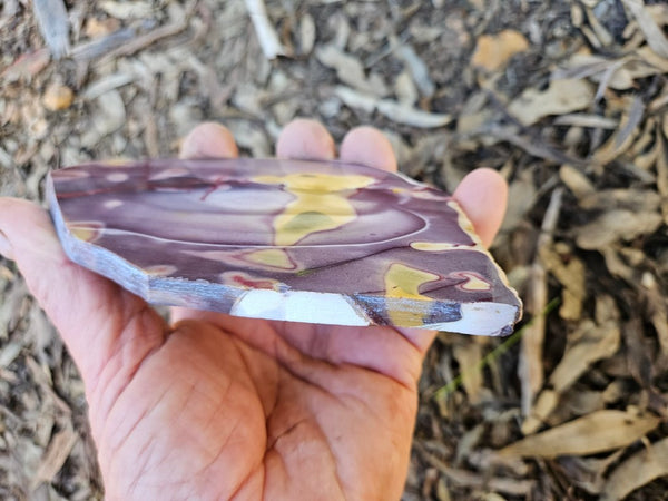 Polished  Mookaite slab MK597
