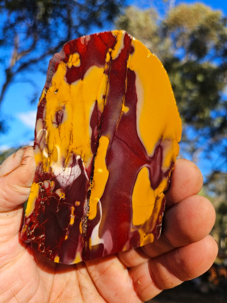 Polished  Mookaite slab MK598