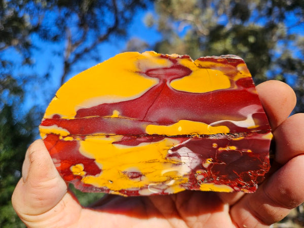 Polished  Mookaite slab MK598