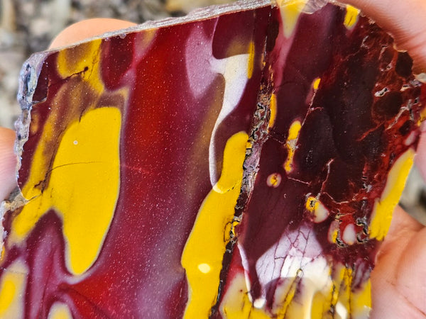 Polished  Mookaite slab MK598