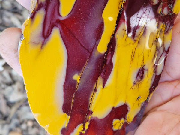Polished  Mookaite slab MK598