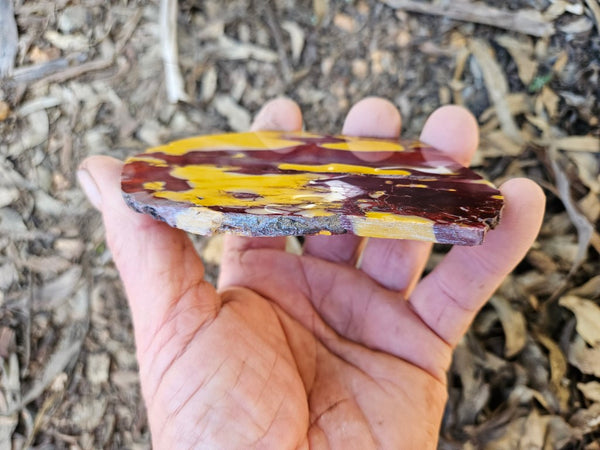 Polished  Mookaite slab MK598