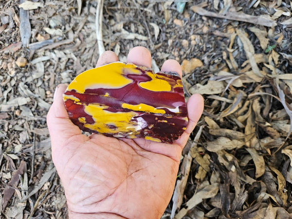 Polished  Mookaite slab MK598