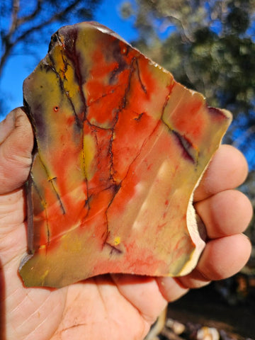 Polished  Mookaite slab MK599