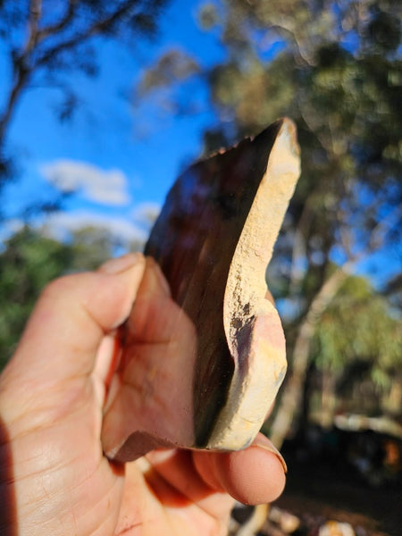 Polished  Mookaite slab MK599