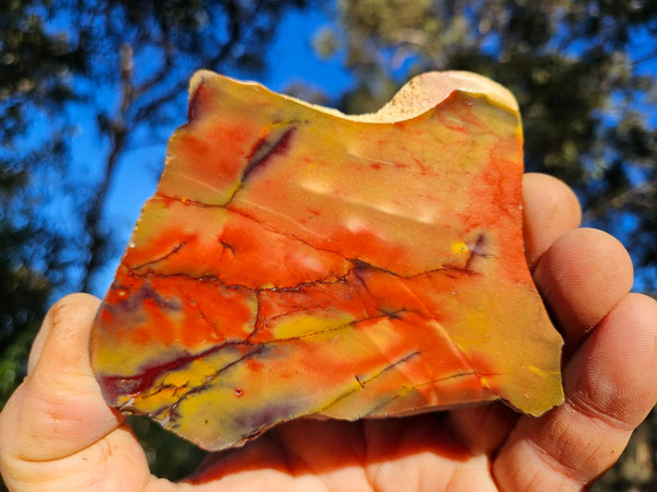 Polished  Mookaite slab MK599