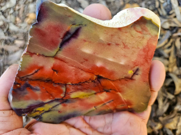 Polished  Mookaite slab MK599