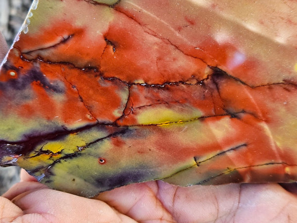 Polished  Mookaite slab MK599