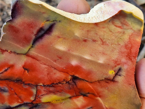 Polished  Mookaite slab MK599