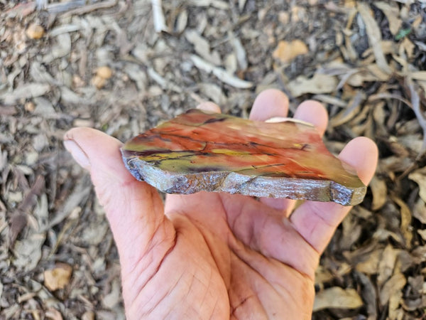 Polished  Mookaite slab MK599