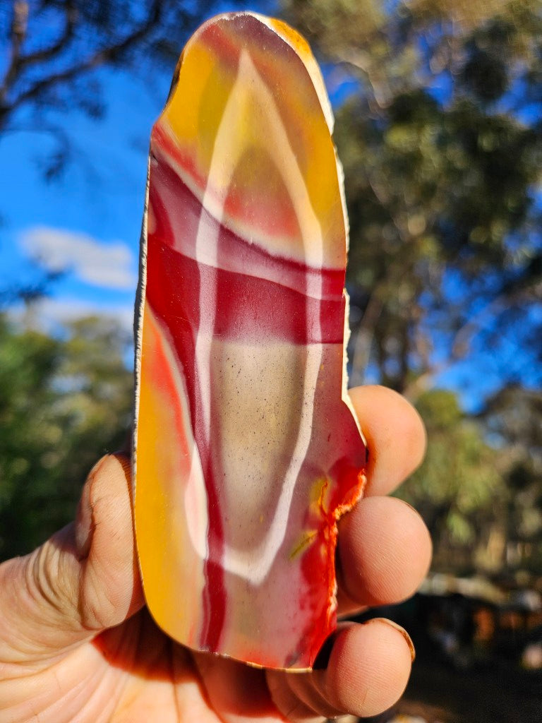 Polished  Mookaite slab MK600