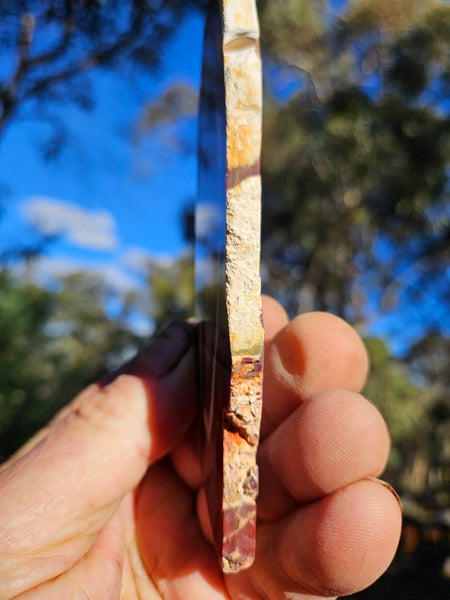 Polished  Mookaite slab MK600
