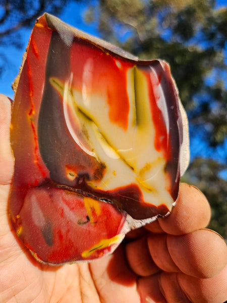 Polished  Mookaite slab MK601
