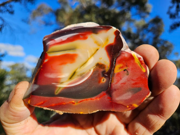 Polished  Mookaite slab MK601