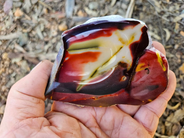 Polished  Mookaite slab MK601