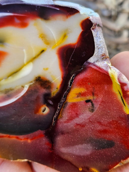 Polished  Mookaite slab MK601