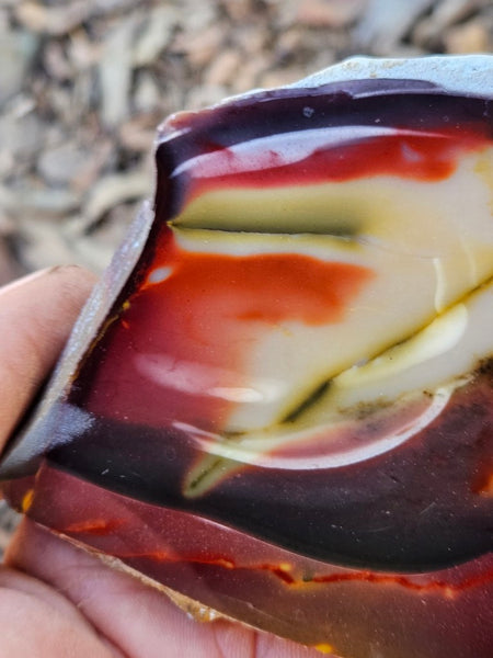 Polished  Mookaite slab MK601