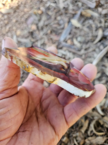 Polished  Mookaite slab MK601