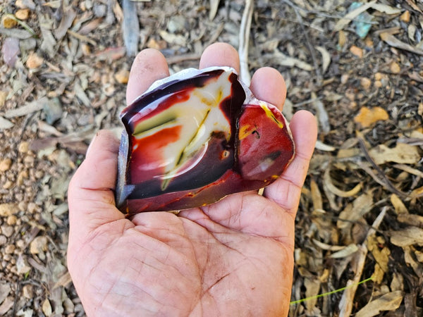 Polished  Mookaite slab MK601