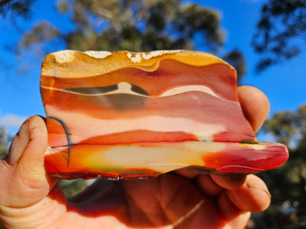 Polished  Mookaite slab MK602