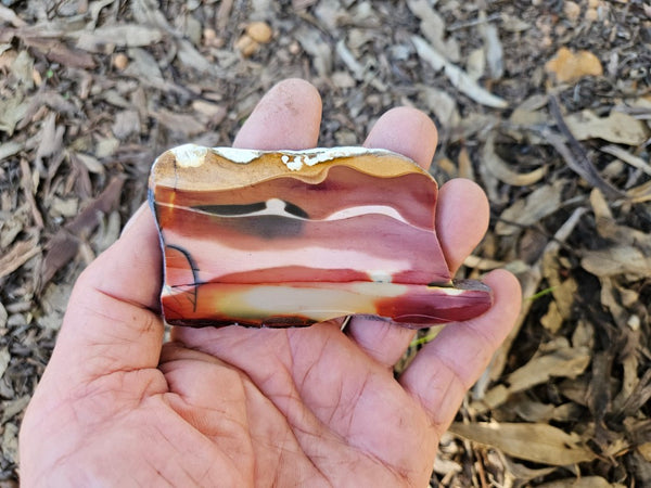 Polished  Mookaite slab MK602