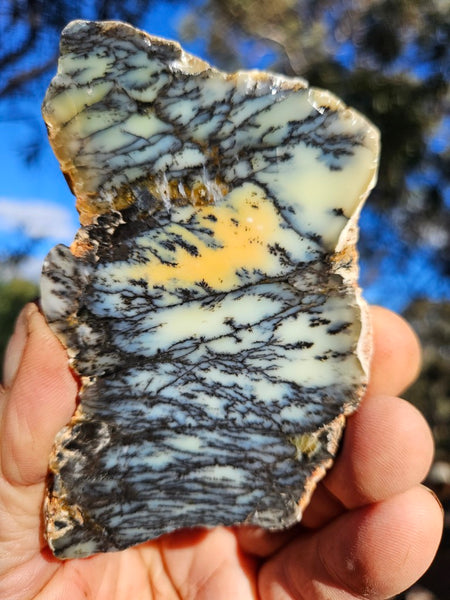 Polished Dendritic Opal slab DO246