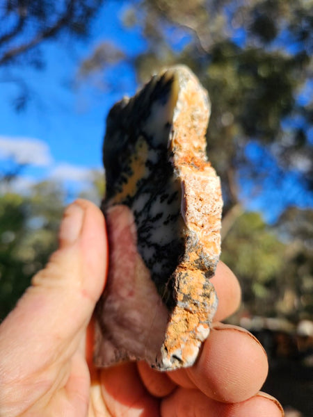 Polished Dendritic Opal slab DO246
