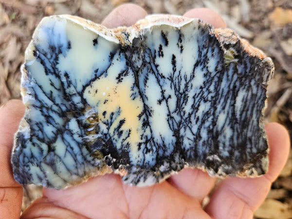 Polished Dendritic Opal slab DO246