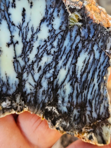 Polished Dendritic Opal slab DO246