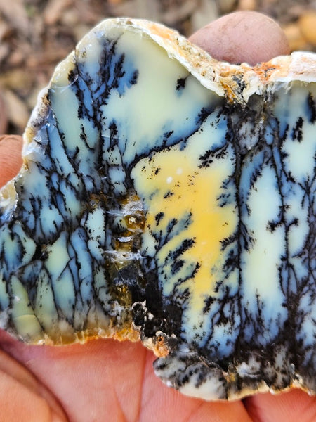 Polished Dendritic Opal slab DO246