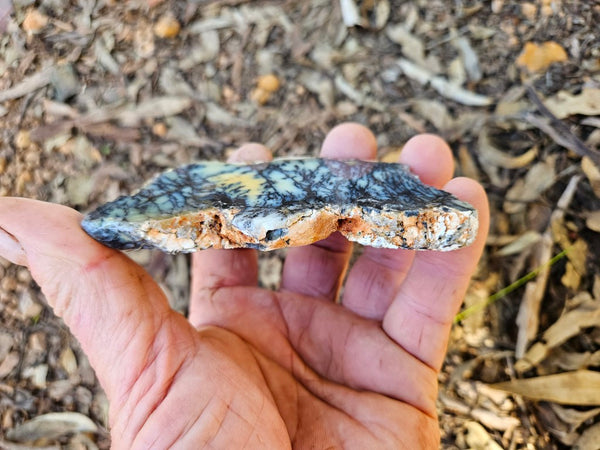 Polished Dendritic Opal slab DO246