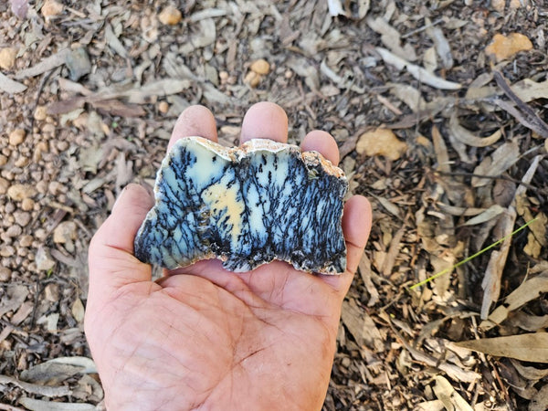 Polished Dendritic Opal slab DO246