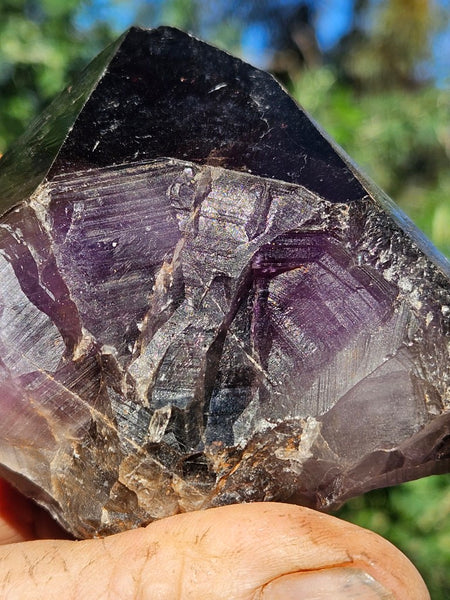 Wyloo Smoky Amethyst crystal . AM156