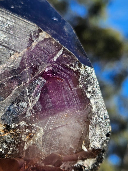 Wyloo Smoky Amethyst crystal . AM156