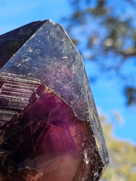 Wyloo Smoky Amethyst crystal . AM156