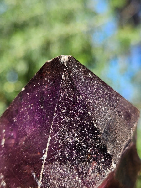 Wyloo Smoky Amethyst crystal . AM158