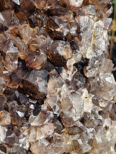 Wyloo smoky Quartz cluster. AM159