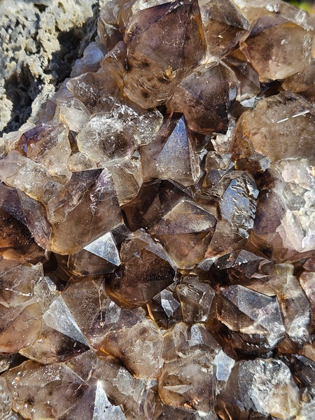 Wyloo smoky Quartz cluster. AM159