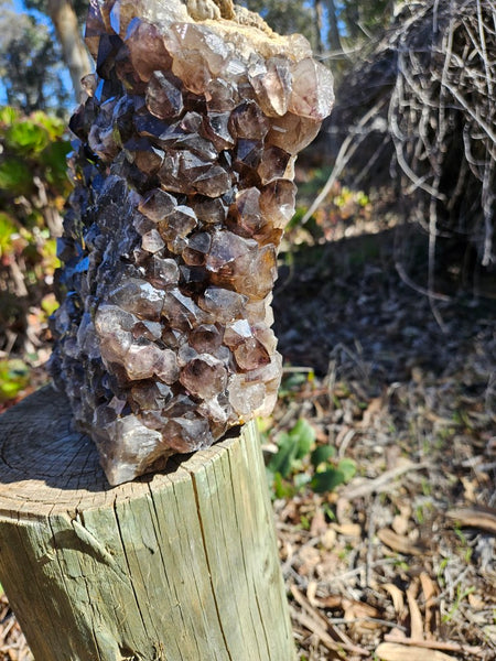 Wyloo smoky Quartz cluster. AM159