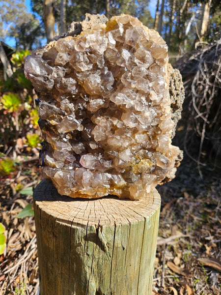Wyloo smoky Quartz cluster. AM159