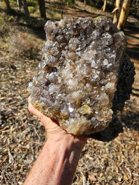 Wyloo smoky Quartz cluster. AM159