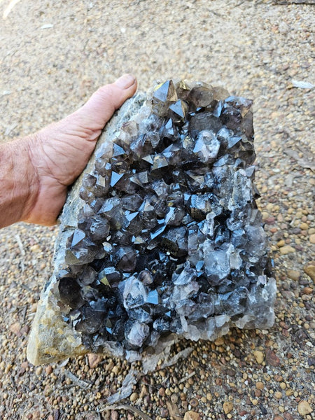 Wyloo smoky Quartz cluster. AM159