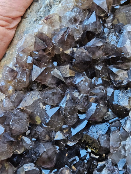 Wyloo smoky Quartz cluster. AM159