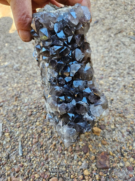 Wyloo smoky Quartz cluster. AM159